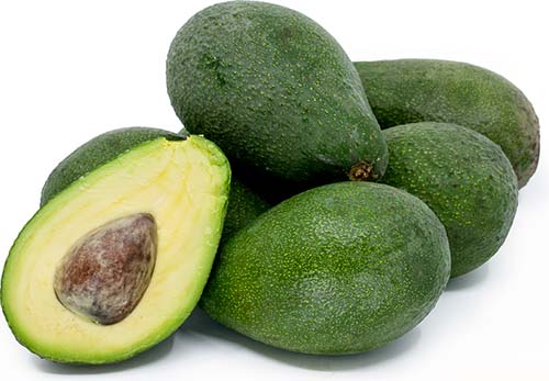 avocado-home.jpg